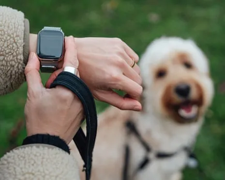 The Truth Regarding Smartwatches? Life Improves Without a Hectoring Zealot on Your Wrist